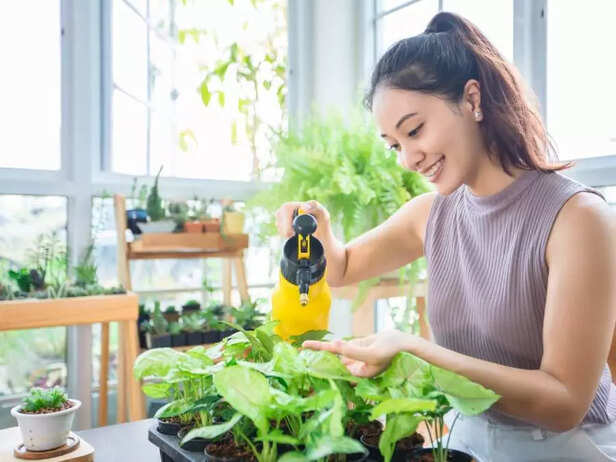 Maintain a Positive Mindset