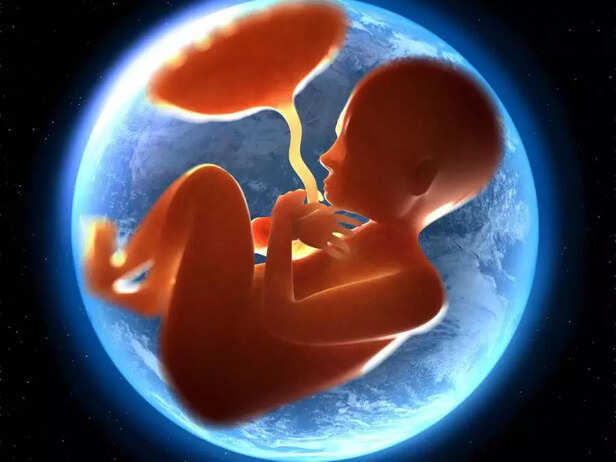 BABY IN WOMB