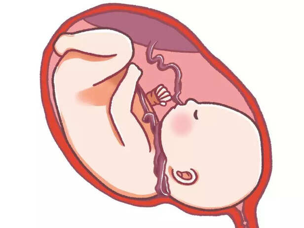 fetus with amniotic fluid