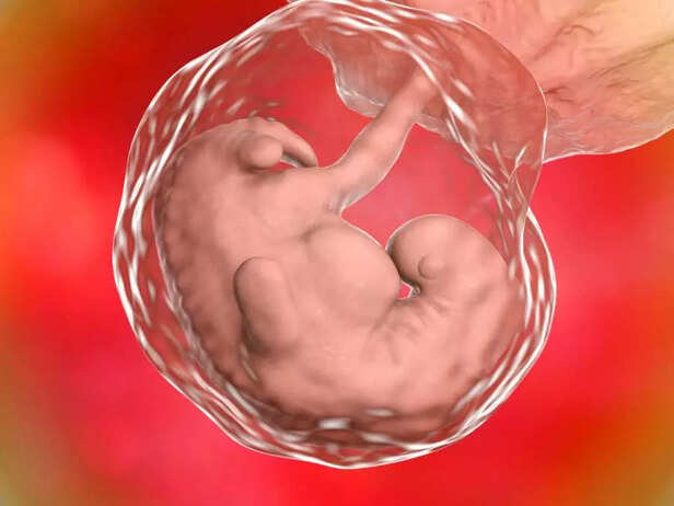 BABY ORGAN FORMATION