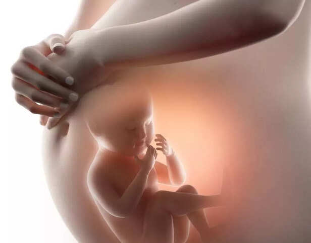 fetus in womb