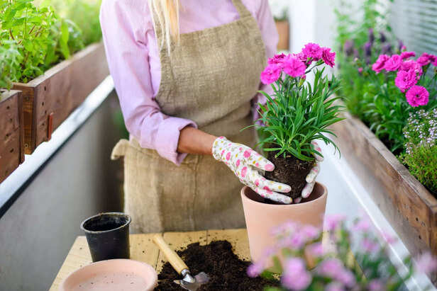 woman gardening