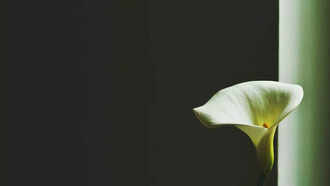 റെക്കോർഡ് സ്‌പോൺസർഷിപ്പ് ഡീൽ വനിതാ ക്രിക്കറ്റിനെ ഉത്തേജിപ്പിക്കുന്നു.