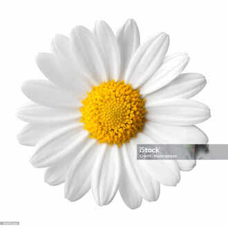 സാമ്പത്തിക ഉപരോധം: ലക്ഷ്യമിടുന്ന രാജ്യം ഗുരുതരമായ സാമ്പത്തിക പ്രതിസന്ധി നേരിടുകയാണ്.