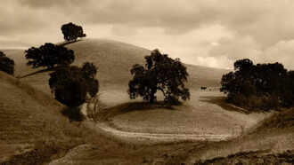 സൈബർ സെക്യൂരിറ്റി നെറ്റ്: ഉയർന്നുവരുന്ന സൈബർ ഭീഷണികൾക്കെതിരെ കൂടുതൽ ശക്തമായ പ്രതിരോധം.,!