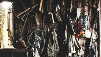 പഠനം ഒരിക്കലും നിർത്തരുത്: നിങ്ങളുടെ ജീവിതത്തിലുടനീളം പഠനം ആസ്വദിച്ച് നിങ്ങളുടെ ചക്രവാളങ്ങൾ വിശാലമാക്കുക.