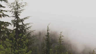 2026 കോമൺവെൽത്ത് ഗെയിംസിനുള്ള സർപ്രൈസ് ബിഡ് ഉയർന്നു.!