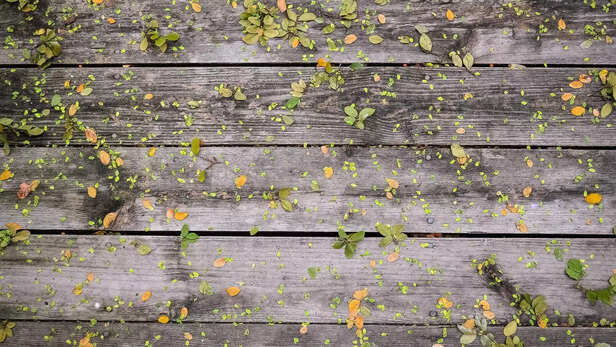 The Gig Life: Exploring the Rise of the Gig Economy and Non-Traditional Work