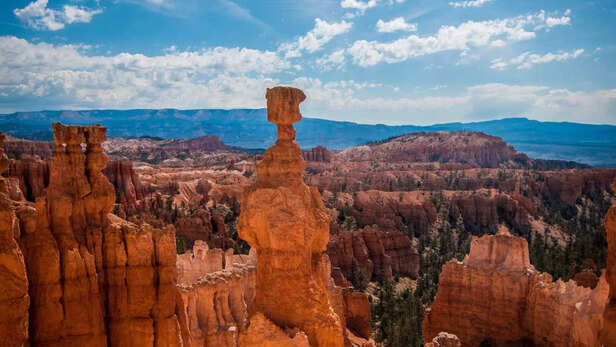 Yashasvi Jaiswal Stars as RR Clinch Victory