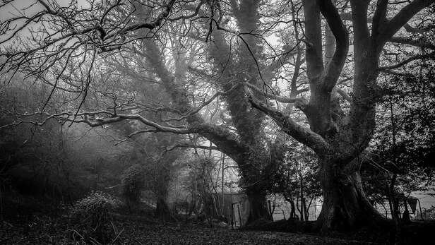 Babar Azam Ton Seals ODI Series for Pakistan