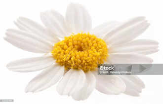 சமூக ஊடக பிரச்சாரம் கால்பந்தில் மன ஆரோக்கியத்தை சமாளிக்கிறது.