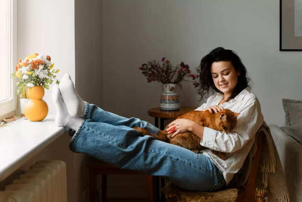 Personal throne of your cat  ( Image Source : Pixabay)