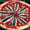 Anchovy  Pizza