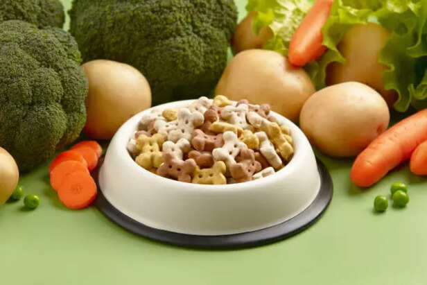 Nutrition is important for a pet's health and quality of life  ( Image Source : Pixabay)