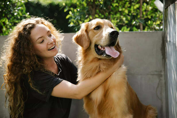 Golden Retrievers make excellent family dogs ( Image Source : Pexels)