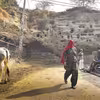 Rakhigarhi