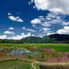 Ziro Valley