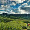 Dzukou Valley