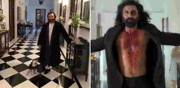 Animal Movie scene in Pataudi Palace