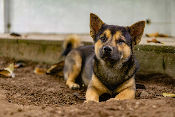 Image Source : Pexels