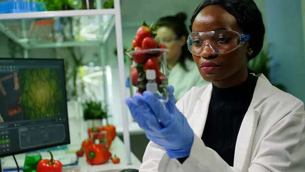 Scientist experimenting of frozen fruits