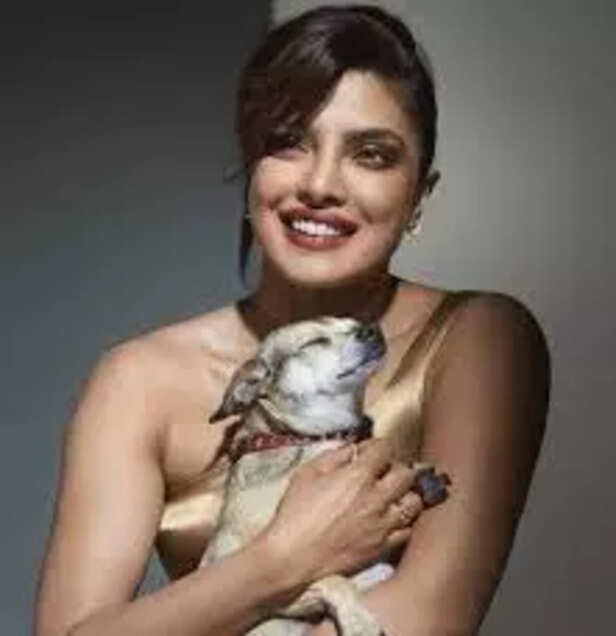 Image Source : Priyanka Chopra / Instagram