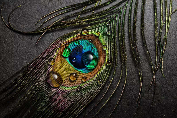 KRISHNA