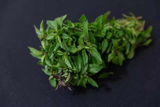 curry leaves