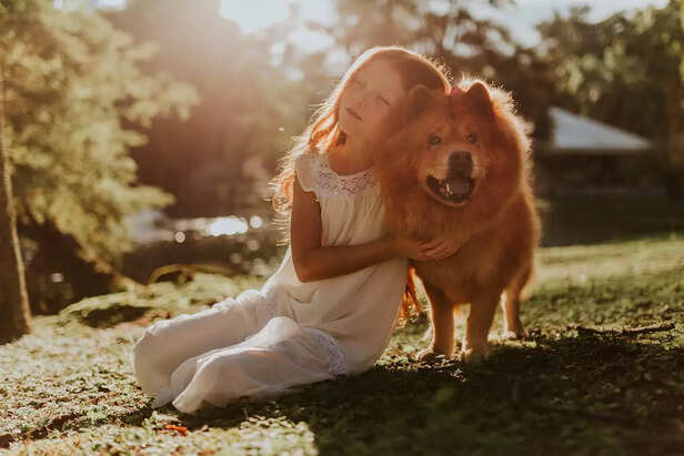 Girl Hugging Adult Chow Chow Sitting on Grass Field.