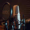 Voice artist
