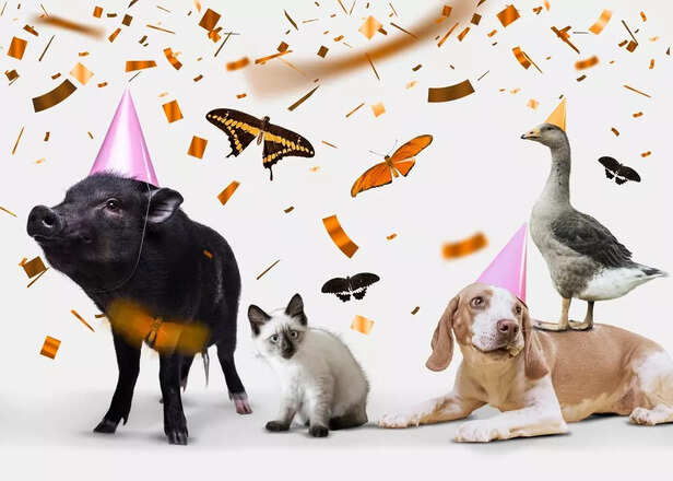 Pets and Zodiac Sign