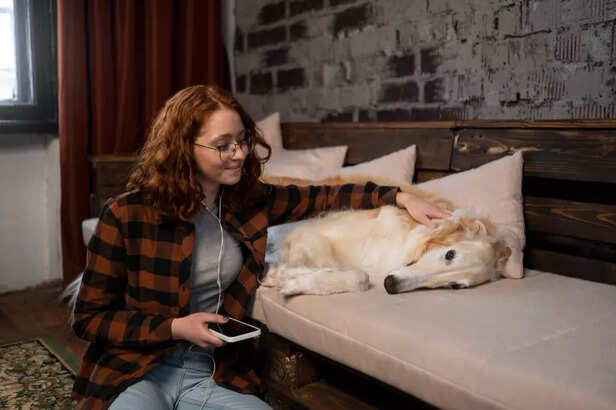 Understanding Sleep Patterns