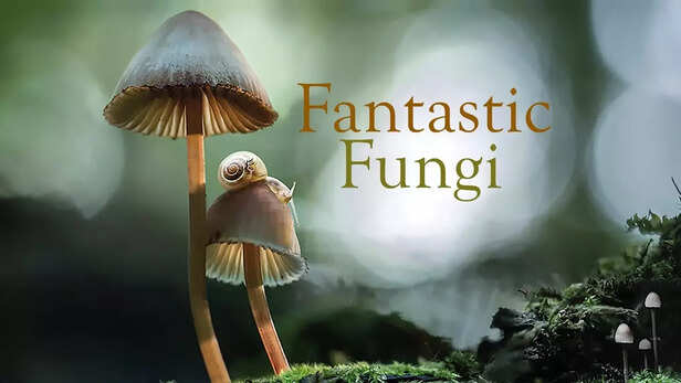 Fantastic Fungi 