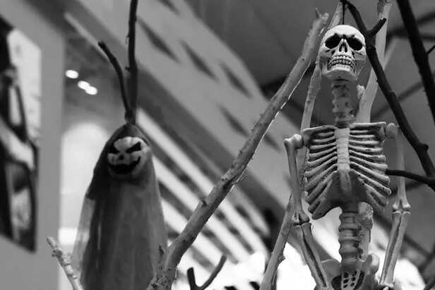 Echoes of the departed, shadows that never fade