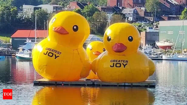 Rubber Ducks.