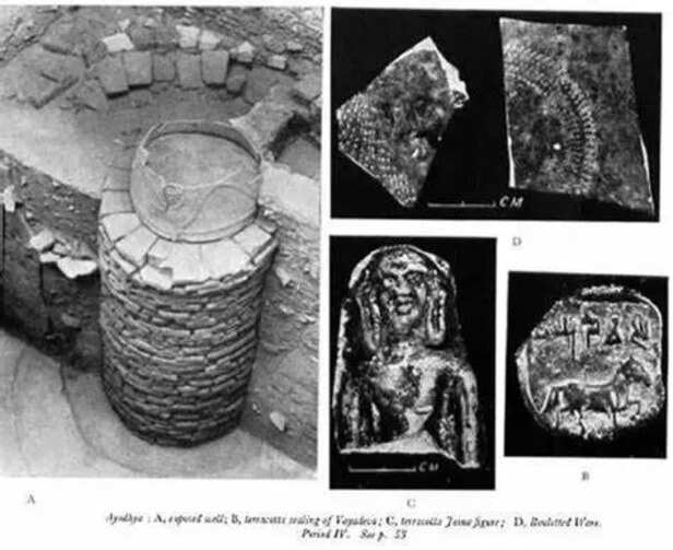 KK Muhammed was with me during excavation at Ayodhya