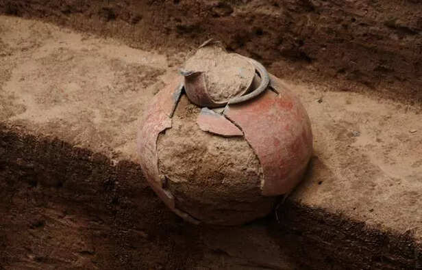 In 2003, the Archaeological Survey of India (ASI) of Ayodhya