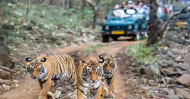 Rethink the Road Trip