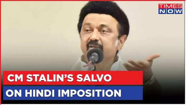 Tamil Nadu CM Stalin Alleges 'Hindi Imposition