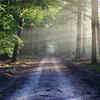 Path
