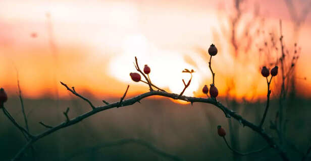 In just 15 minutes, you’ll feel lighter, calmer, and refreshed