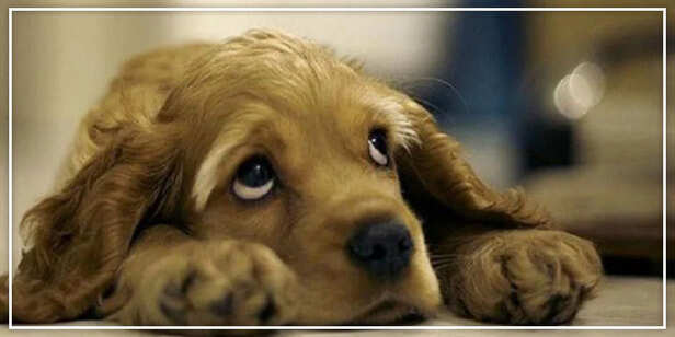 Boredom &amp; Anxiety