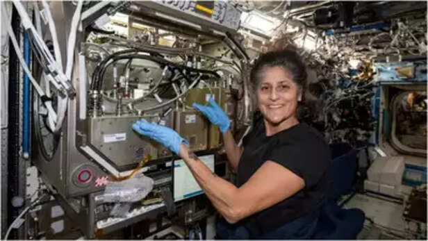Sunita Williams in Space.