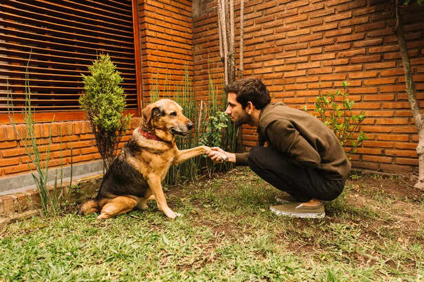 A man Shaking Hands with a Dog
