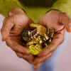 gold coins
