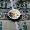 Indian rupee