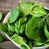 Spinach