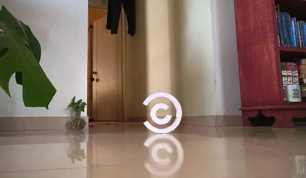 Remember their Popular Shows