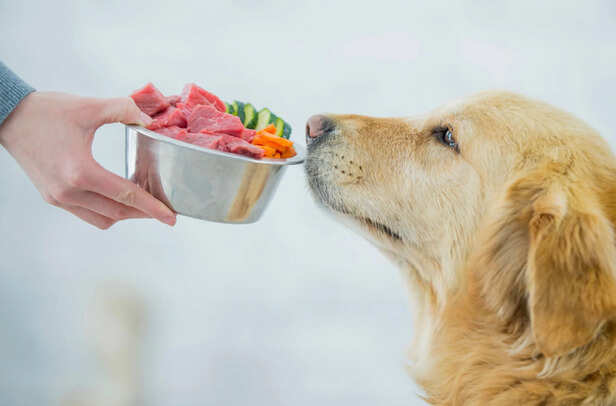 Balanced Diet