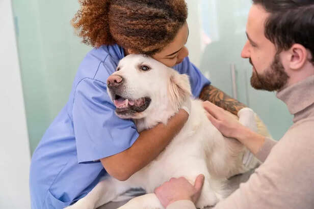 The Future of Pet Health_ What’s Next_